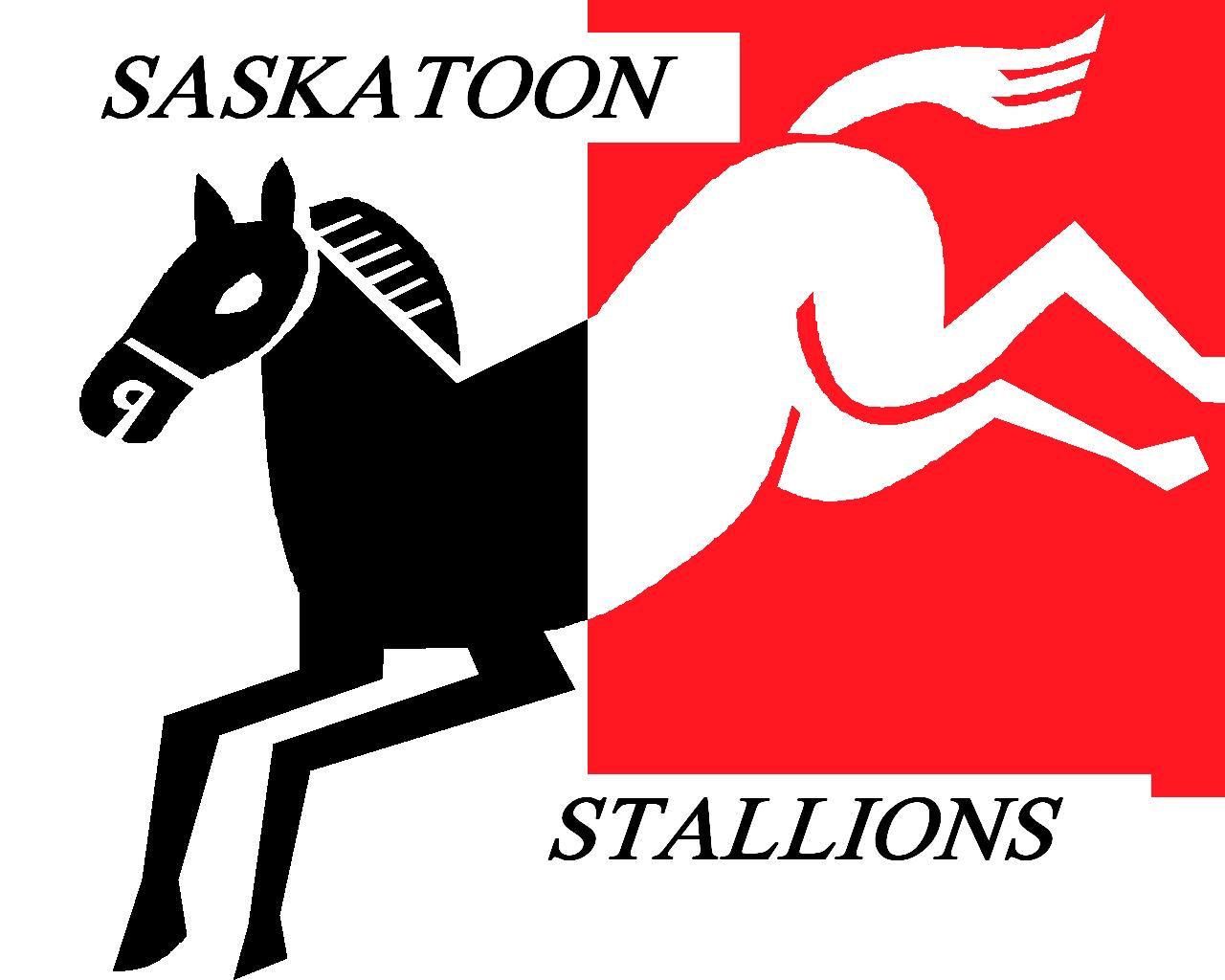 stallions2.jpg